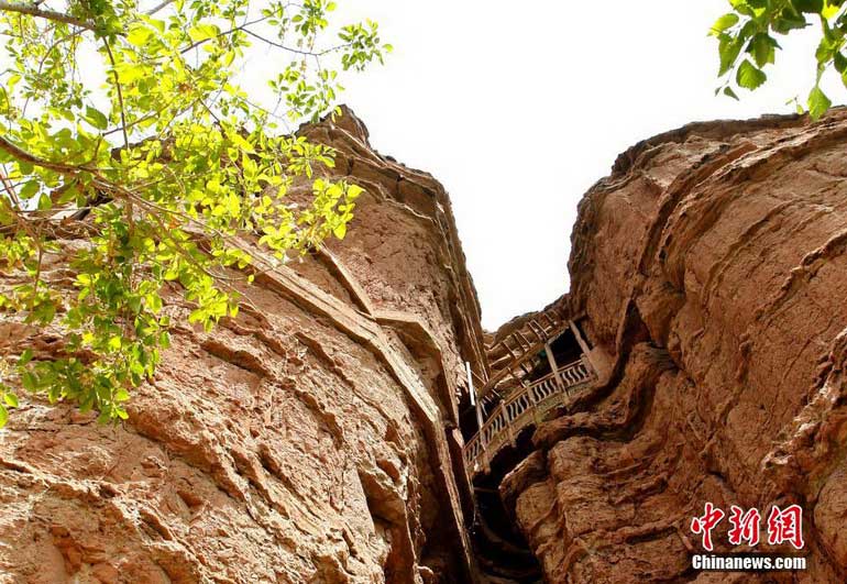 ���壺̽�L�Ї��ڶ���ҿ��� �ຣ�������U��